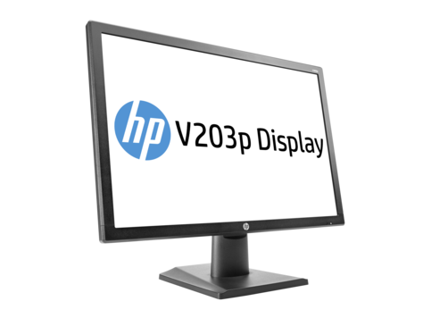 Màn hình HP V203P, 19,5